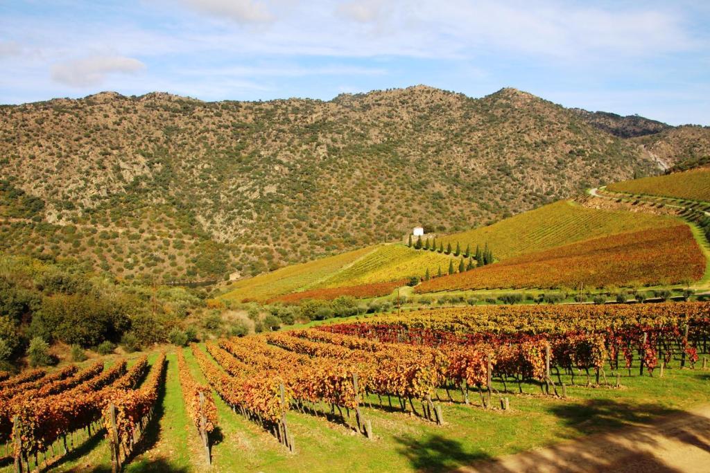 Douro Yacht Charter &