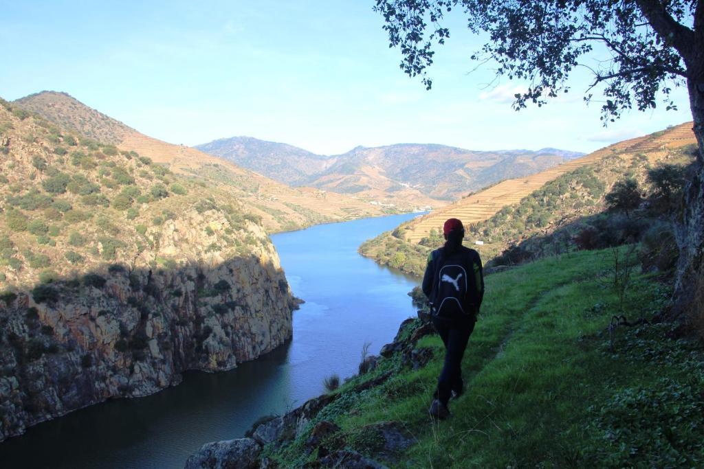 Douro Yacht Charter & São João da Pesqueira